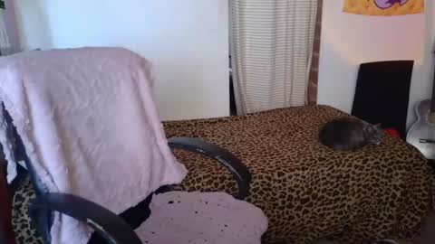 mariaajuana_ online show from 21, 7, 2026