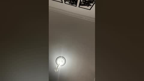 Mar y online show from 25, 2, 2026