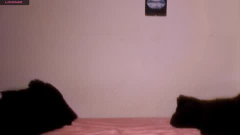 Snapshot of marianawlls chatting on 31, 1, 2025 mariana williams online show from 31, 1, 2025