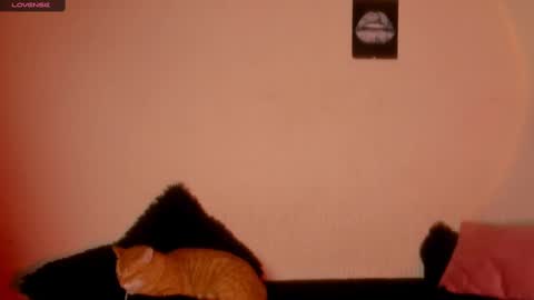 Snapshot of marianawlls chatting on 22, 2, 2025 mariana williams online show from 22, 2, 2025