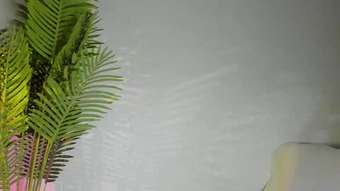 Snapshot of maribett chatting on 8, 11, 2025 Masha online show from 8, 11, 2025