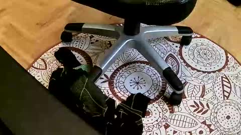 Snapshot of mario659234 chatting on 22, 3, 2026 marcoxxl online show from 22, 3, 2026