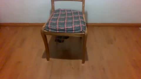 Snapshot of maripaula369 chatting on 22, 2, 2025 Maripaula369 online show from 22, 2, 2025