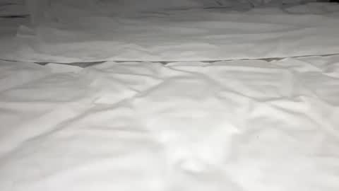 Snapshot of mark_nips02 chatting on 23, 2, 2026 mark_nips02 online show from 23, 2, 2026