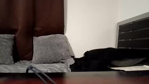 markbwcusmc online show from 15, 1, 2026