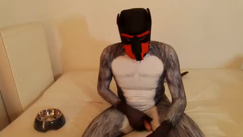 martin_ni online show from 14, 2, 2025