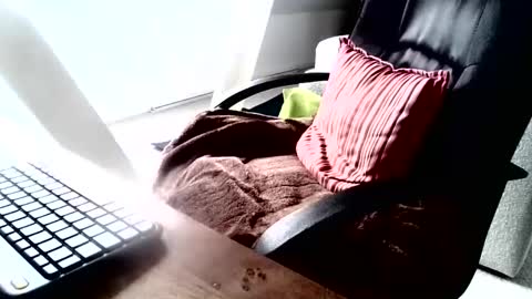 maskime59 online show from 9, 12, 2024