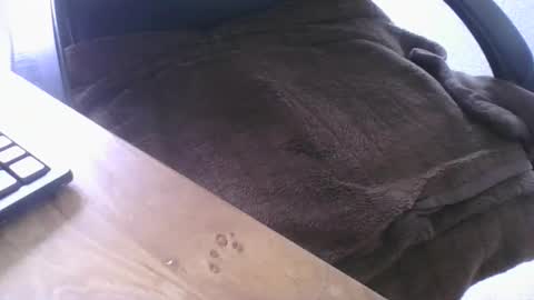 maskime59 online show from 21, 2, 2026