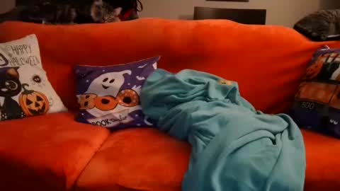 alex online show from 20, 10, 2025