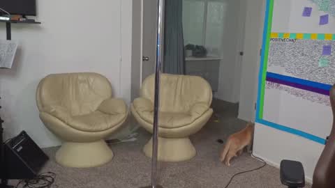 Snapshot of mattcashxxx chatting on 10, 1, 2025 Matt Cash online show from 10, 1, 2025