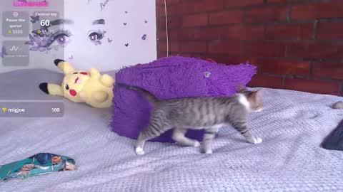 Mature liaa online show from 19, 11, 2025