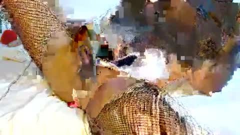 mauro sex online show from 6, 2, 2025