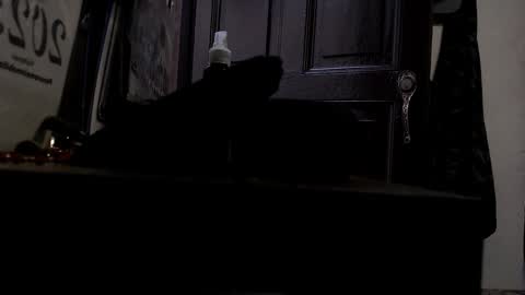 Snapshot of maximotorricelli chatting on 3, 1, 2025 maximotorricelli online show from 3, 1, 2025