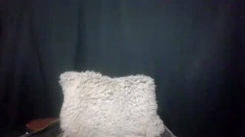 Snapshot of maximus_oreally chatting on 4, 1, 2025 Max online show from 4, 1, 2025