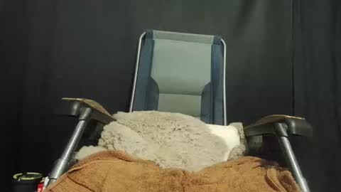 Snapshot of maximus_oreally chatting on 22, 1, 2025 Max online show from 22, 1, 2025