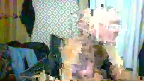 Snapshot of maximus_oreally chatting on 19, 2, 2025 Max online show from 19, 2, 2025