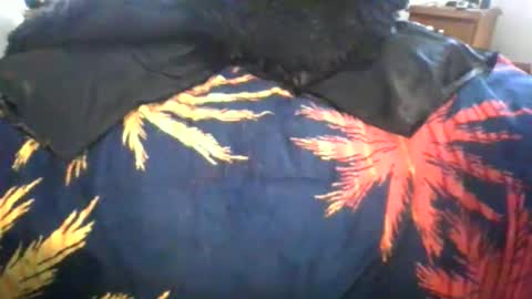 Snapshot of maximus_oreally chatting on 6, 3, 2026 Max online show from 6, 3, 2026