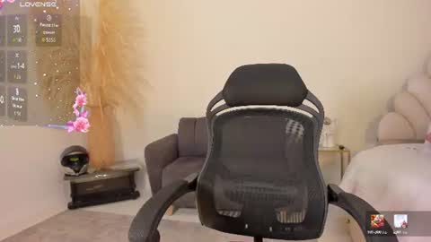 Maximus online show from 28, 6, 2026