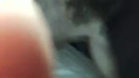 maxxou69hot online show from 3, 5, 2026