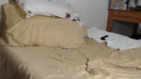 Snapshot of maxxxiimiliano chatting on 4, 11, 2025 Maxx online show from 4, 11, 2025