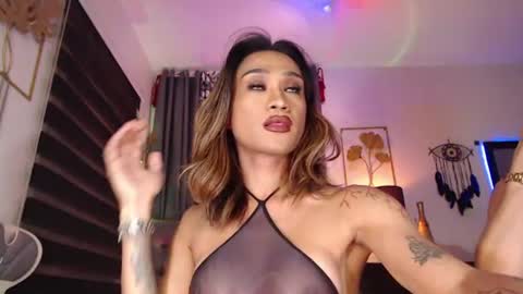meatycocktransxxx_ online show from 29, 7, 2026