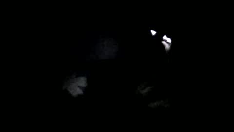 Oltereodora-lima online show from 6, 2, 2025