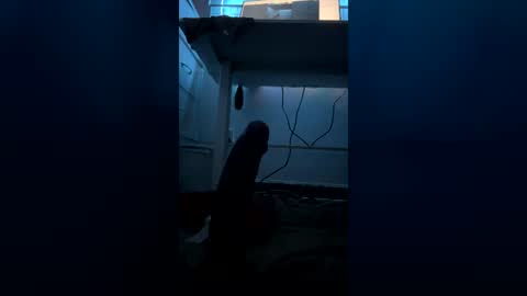 Snapshot of meep08 chatting on 9, 7, 2026 meep08 online show from 9, 7, 2026