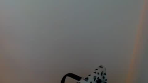 Snapshot of meg4nmiau chatting on 29, 7, 2026 Meg4n Miauuuu online show from 29, 7, 2026