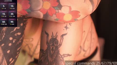 Snapshot of megan_evaans chatting on 14, 12, 2024 welcome guys please help me to reach 100 hands up Thanks online show from 14, 12, 2024