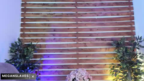 megan_raiin online show from 18, 11, 2025