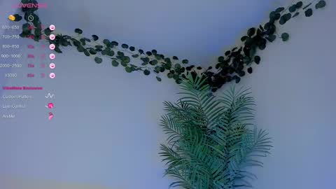 megancarlott_ online show from 1, 3, 2025