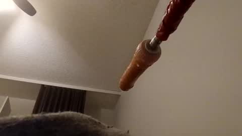 meheriuk68 online show from 17, 12, 2025