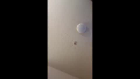 mel_hart_jr online show from 18, 5, 2026