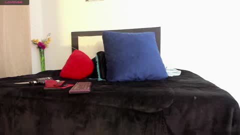 melaniie_roussel online show from 22, 12, 2024