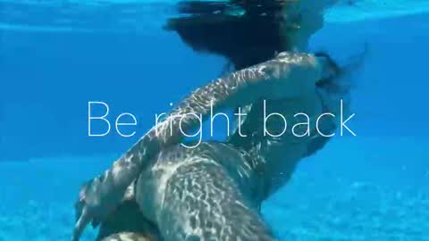 Adel online show from 15, 9, 2025