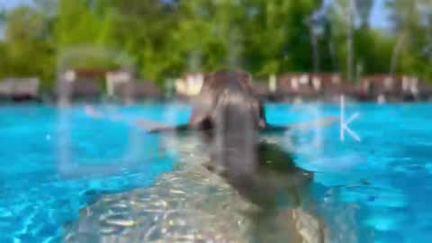 Adel online show from 28, 2, 2026