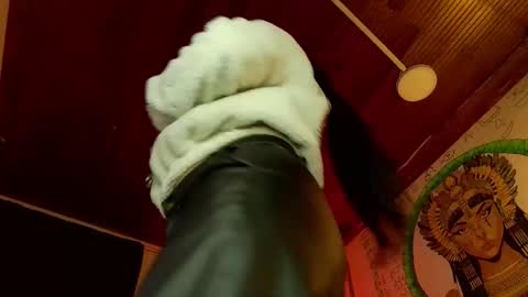 Snapshot of melissa_dolce chatting on 16, 1, 2026 michell online show from 16, 1, 2026