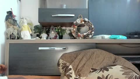 Snapshot of mellbell_ chatting on 8, 1, 2025 MellyMell  online show from 8, 1, 2025