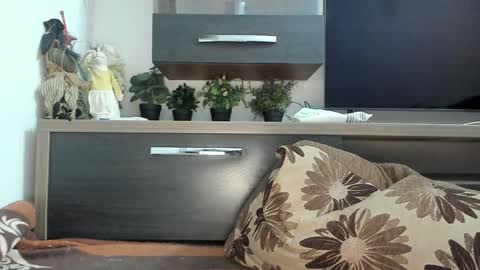 Snapshot of mellbell_ chatting on 30, 1, 2025 MellyMell  online show from 30, 1, 2025
