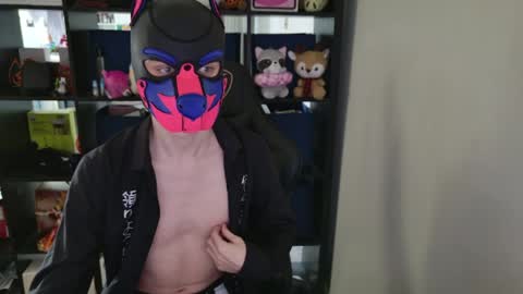 MellPUP online show from 1, 4, 2026