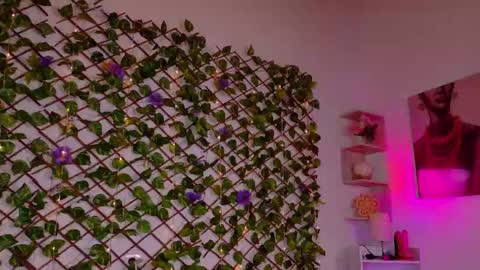 melody_cute10 online show from 29, 4, 2026