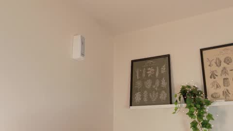  Memphis Williams  online show from 17, 2, 2026