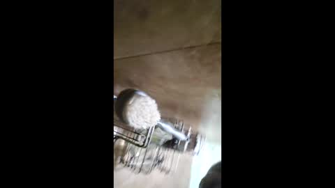 men_seeker online show from 12, 2, 2026