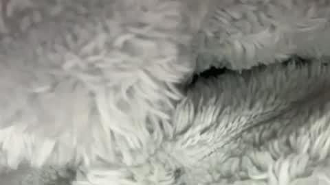 Snapshot of menarethebest123 chatting on 17, 6, 2026 menarethebest123 online show from 17, 6, 2026