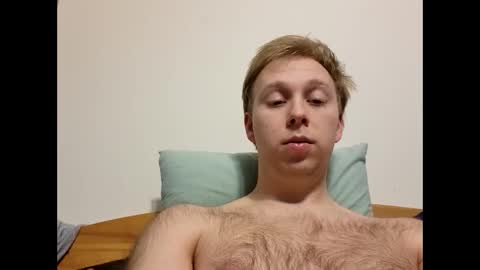 meow732 online show from 17, 12, 2025