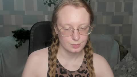 meowcr online show from 10, 5, 2026