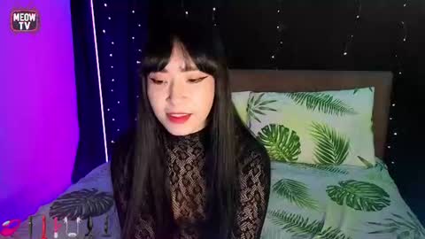 meowkami online show from 21, 7, 2026