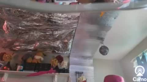 gurlnips online show from 26, 12, 2024