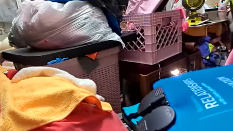 gurlnips online show from 26, 2, 2025