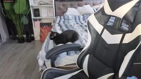 vollmond online show from 13, 2, 2026